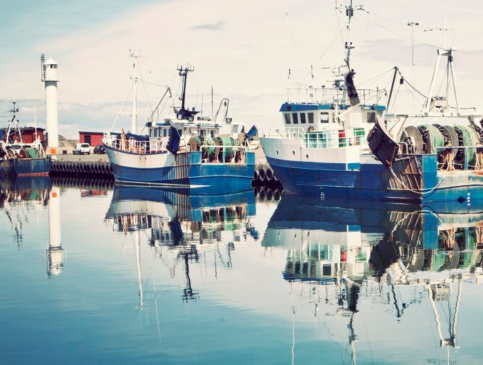Ny studie från HaV: Överetablering av företag i svenskt fiske