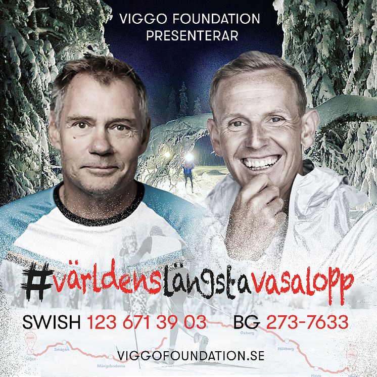 Stötta insamlingsstiftelsen Viggo Foundation