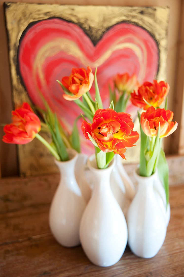 Tulpaner i vaser framför hjärta