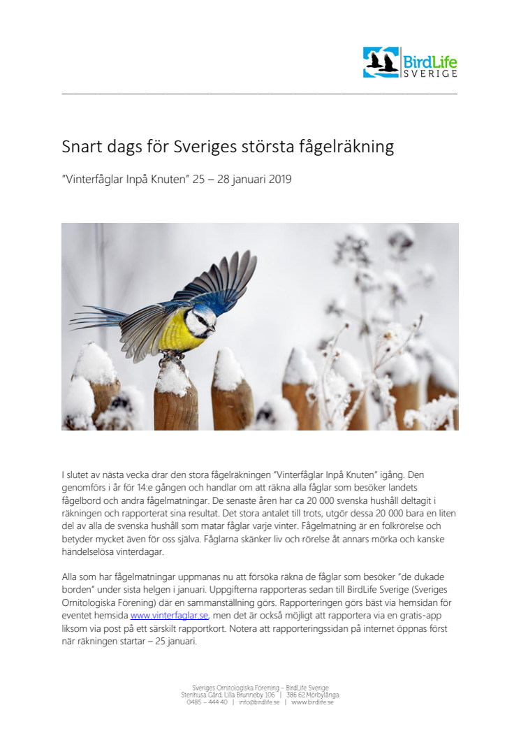 Snart dags för Sveriges största fågelräkning