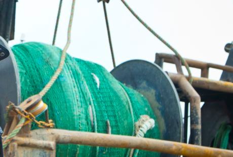 Lyckat fiskestopp i Skagerrak