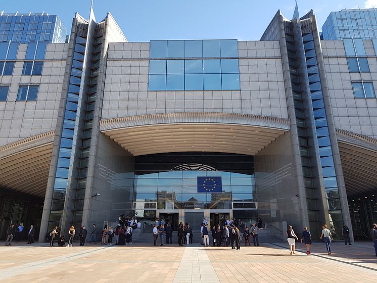 EU-parlamentet går emot den egna domstolen gällande Västsahara