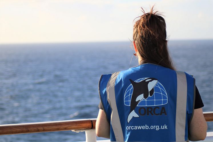 ORCA team - wildlife from deck