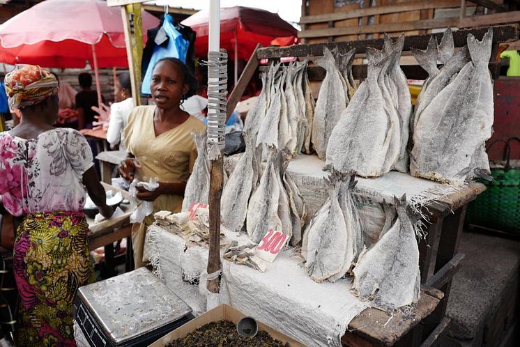 Klippfisk på marked i Kongo