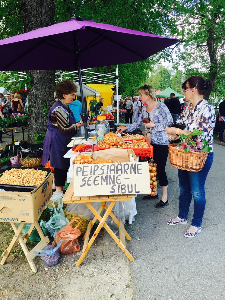 Växtmarknad i Türi, Estland