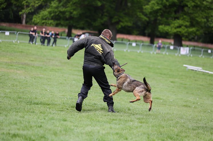 2023 Champion PD Belle from Avon and Somerset Police