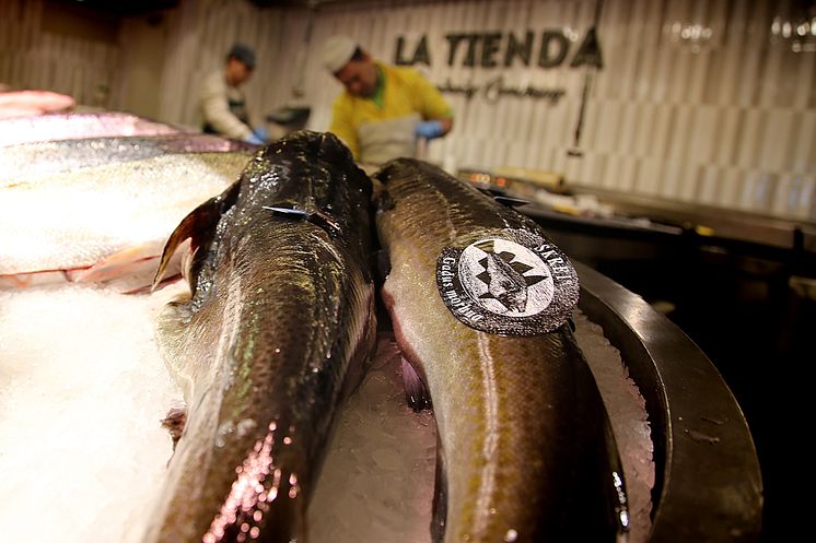 Skrei på fiskemarkedet i Madrid