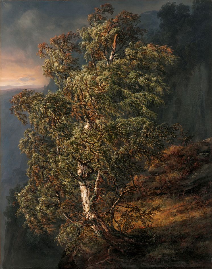 J.C. Dahl: «Bjerk i storm» (1849) 