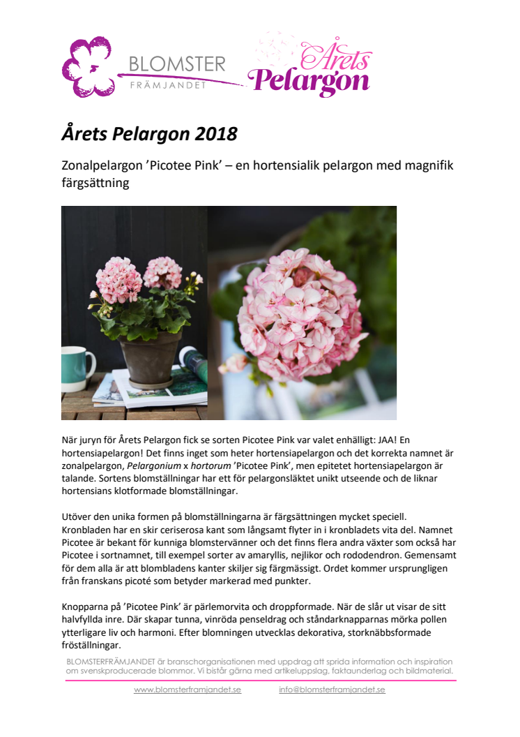 Årets Pelargon 2018