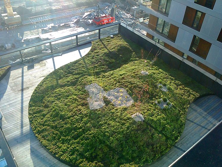 Grønne tak I tillegg byr på trivelige, økologiske og anvendelige grønne lunger i tette byområder.