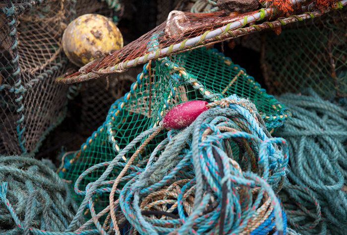 Fiskeavtal mellan Norge och EU klart: Ökade kvoter för torsk, sej och rödspätta