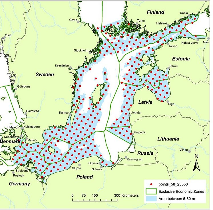 Hur skyddar vi tumlare i Östersjön? HaV bjuder in till workshop