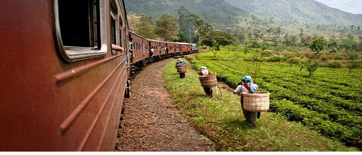 Populär tågresa på Sri Lanka 