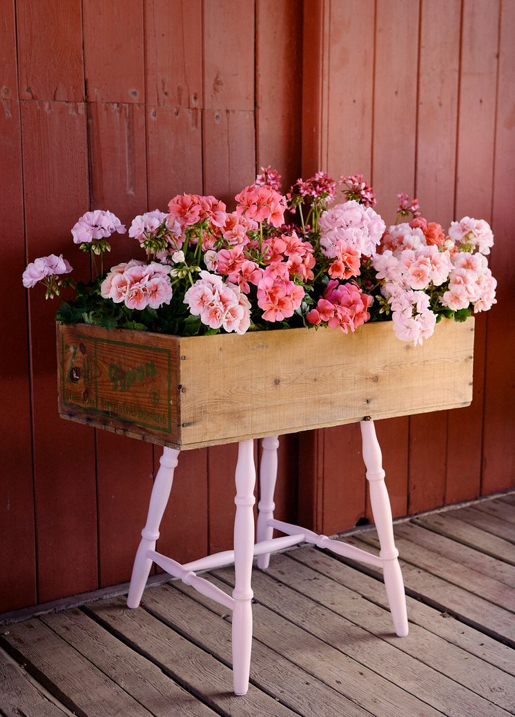 2022_Geraniums_5020_DIY_Planting_Table_with_Drawer_04
