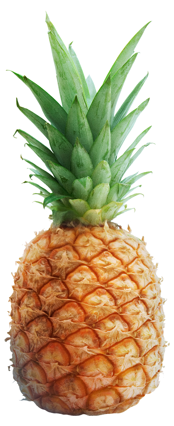 silly_pineapple_fruit