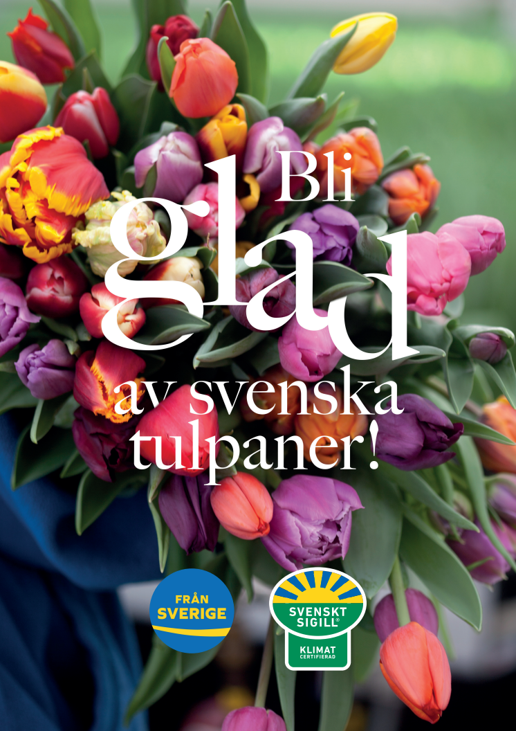 Bli glad av svenska tulpaner 2021 - A1 poster för egen utskrift