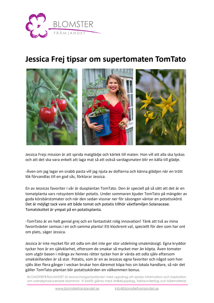 Jessica Frej tipsar om supertomaten TomTato