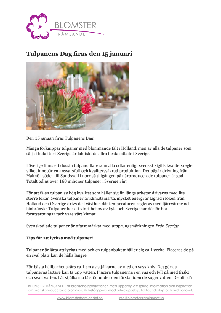 Tulpanens Dag firas den 15 januari    