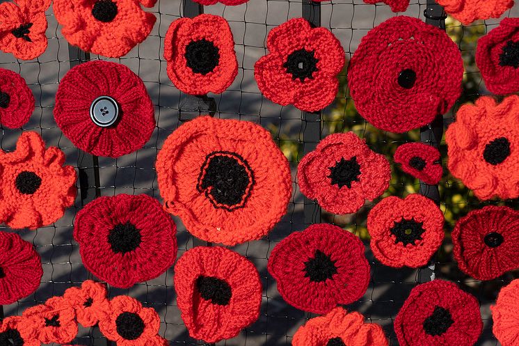 Knitted poppies.jpg