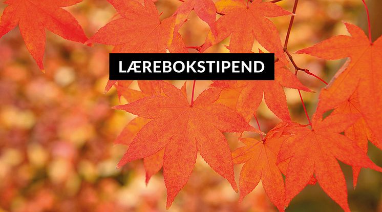 Newsletter_Lærebokstipend-autumn--1080x600.jpg