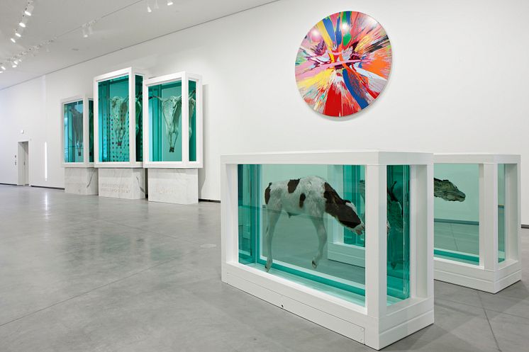 Damien Hirst (c) Astrup Fearnley Collection
