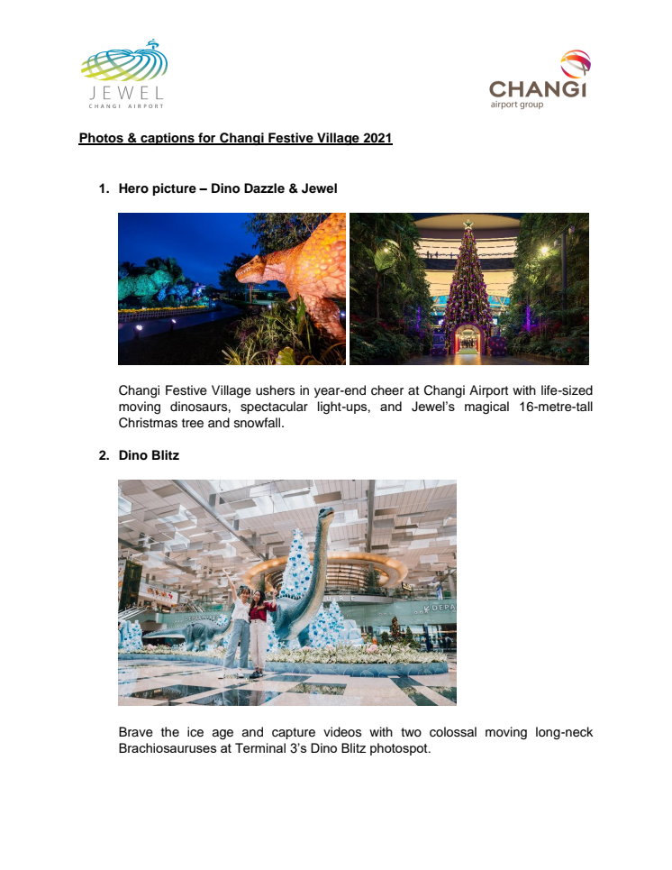 Photo captions for Changi Festive Village 2021.pdf