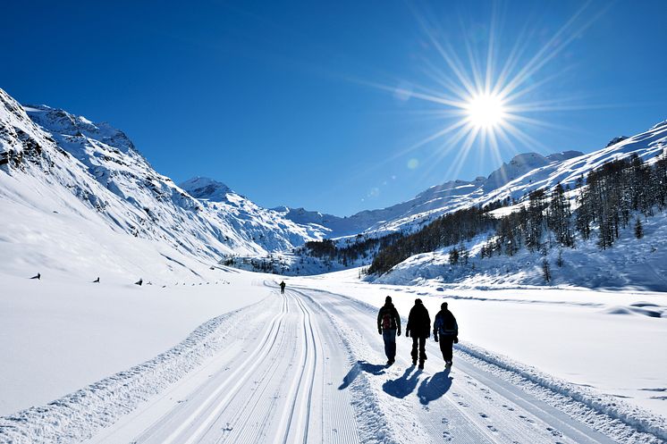 Winterwanderung im malerischen Fextal im Engadin, Kanton Graubünden 