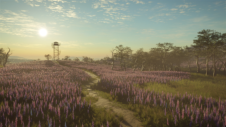 8PF-view 1_watchtower_in_flower_field_1920x1080.png