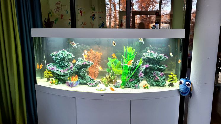 Buntes Aquarium im Kinderhospiz erfreut Kinder, Gäste und das Bärenherz-Team
