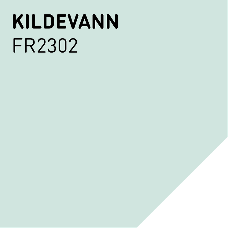 FR2302 KILDEVANN