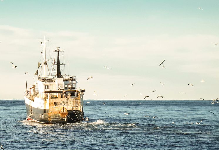 ​EU och Norge överens om fiskekvoter för 2016