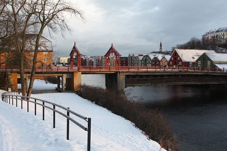 Trondheim miljø