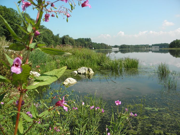 20231025_Ökologische Dammgestaltung Donau