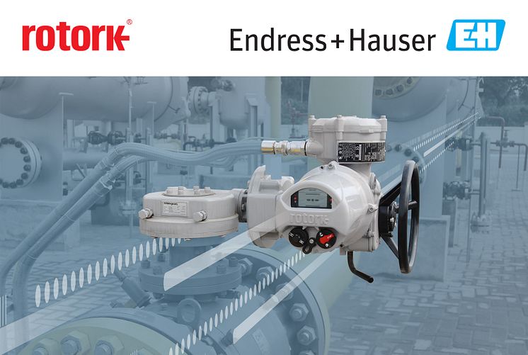 Rotork and Endress+Hauser