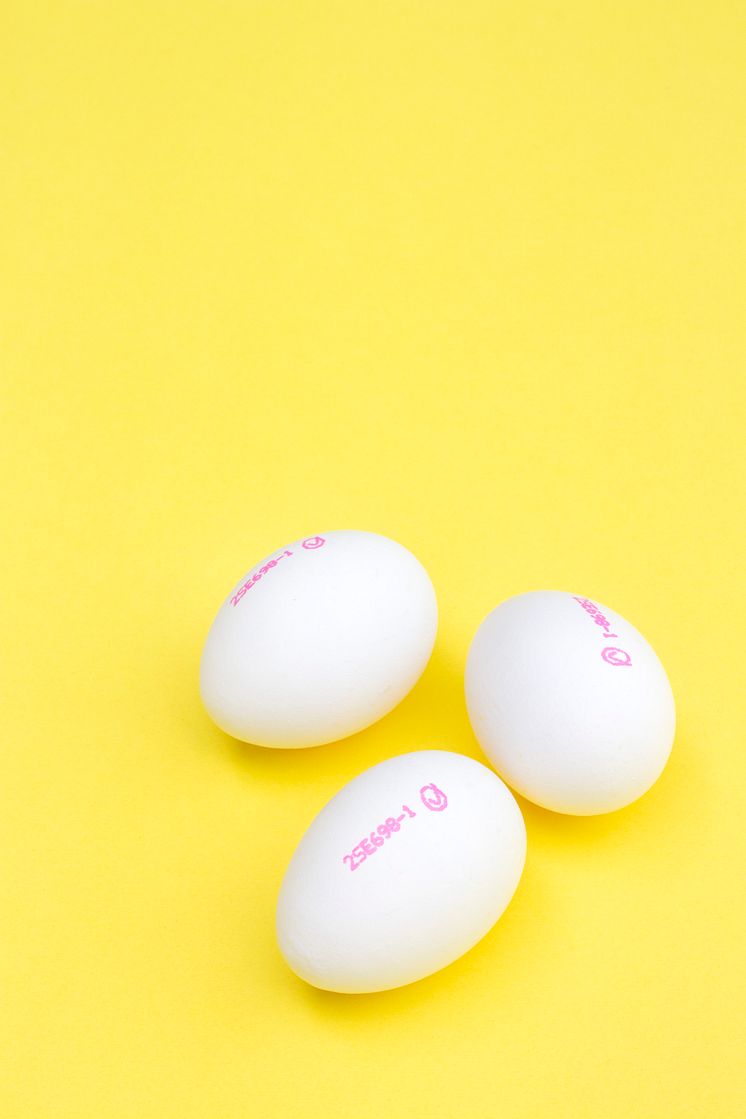 Råvara ägg (2).jpg