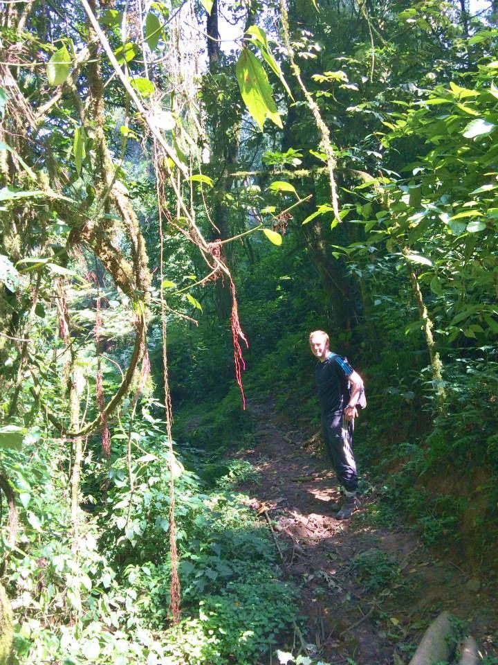 Peter McGowran walking into the rainforest during the collection of indigenous tree seedlings