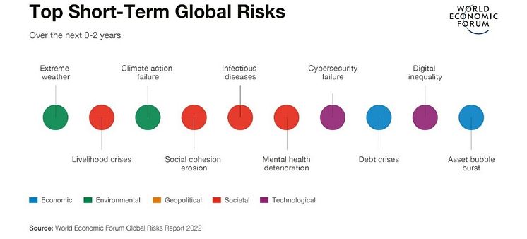 Top_Short_Term_Global_Risks.jpg
