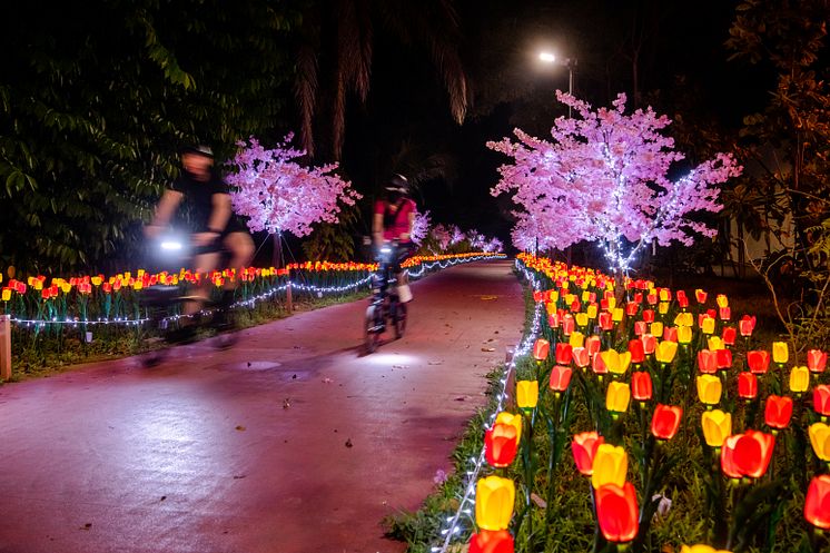Dino Dazzle - more than 10,000 blooms of illuminated flowers.jpg
