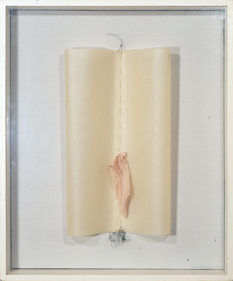 Lenke Rothman, Det dagliga könet, 1977