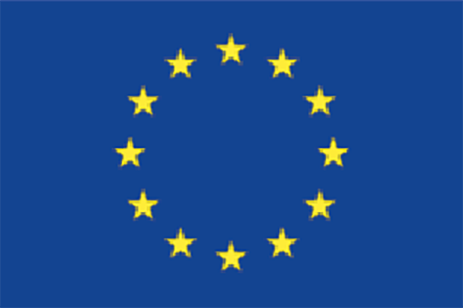 Stars for Europe logo