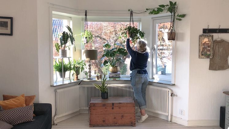 Skapa ett vackert fönster med krukväxter