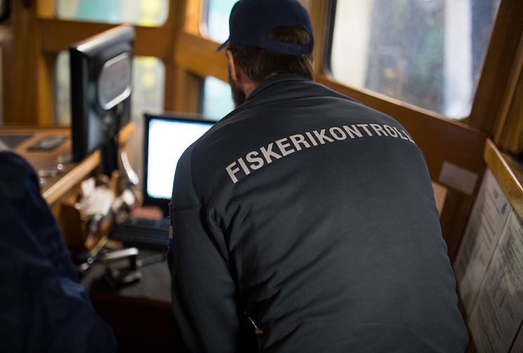 Stora skillnader mellan rapportering och kontrollresultat för sillfisket i Östersjön