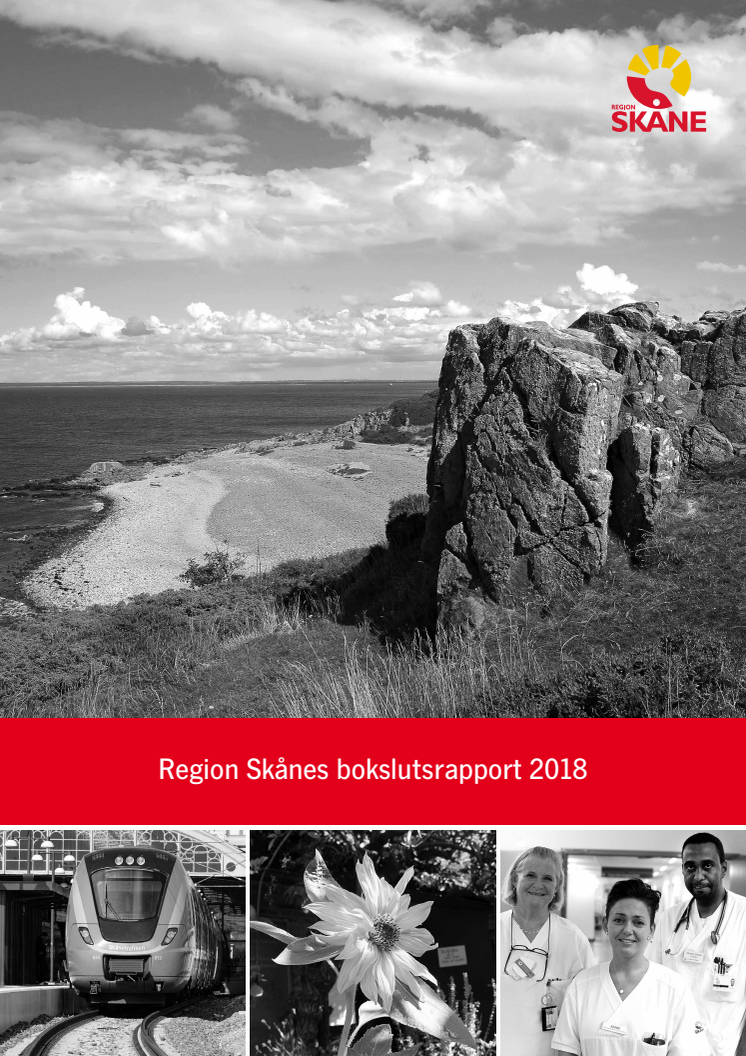 Bokslutsrapport 2018 från Region Skåne