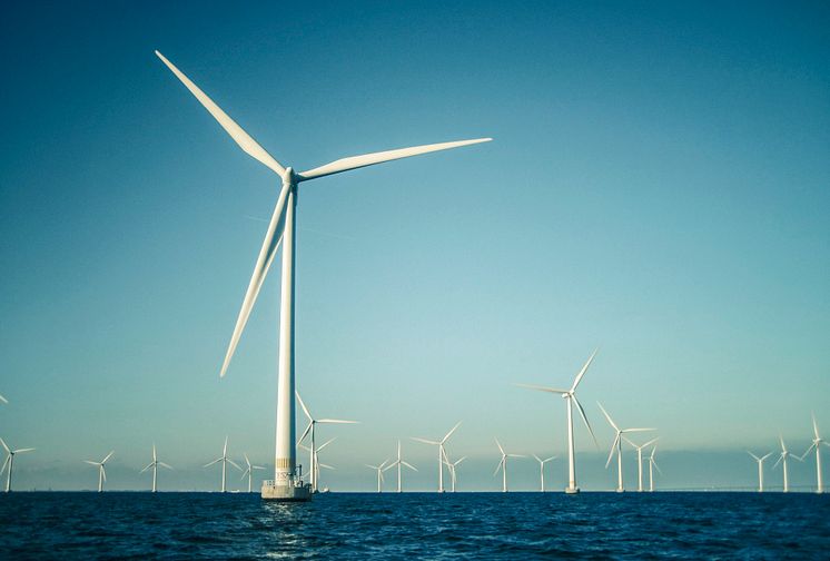 HaV-nej till vindkraftspark: Projektet måste anpassas för att skydda Östersjöns tumlare