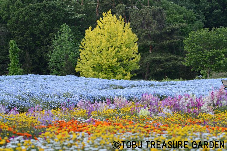 Tobu Treasure Garden