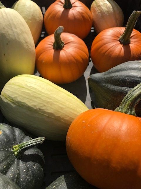 Höstens vackraste grönsaker i olika former och färger!