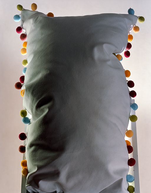 Torbjørn Rødland, Vertical Pillow, 2017