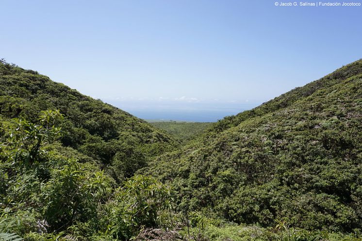 Galapagos reserve landscape - San Cristóbal Island - Fundación Jocotoco.jpg