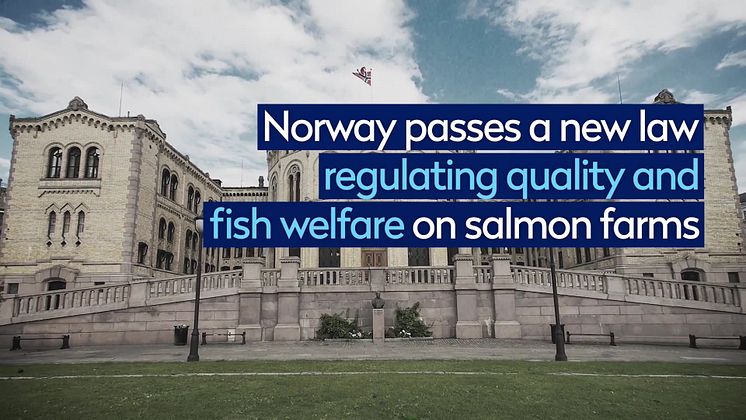 50 years of salmon farming