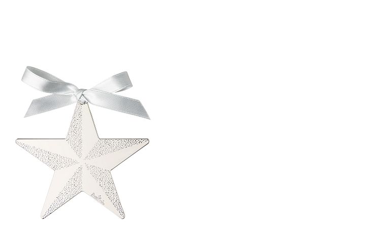 R_Silver_Collection_Christmas_Silver_Star_8_cm